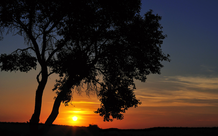 Sunset - clouds, sunlight, beautiful, beauty, colors, leaves, tree, colorful, sunset, nature, rays, peaceful, sky