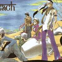 Bleach Anime