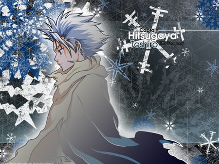 Tosuhiro HiTsugaya - anime, bleach, hitsugaya, toushiro