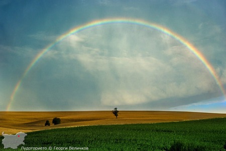 Rainbow Field - photogrpahy, rainbow, green, gold, field, bulgaria