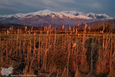 Mountain Field - photograohy, snow, mountain, top, bulgaria