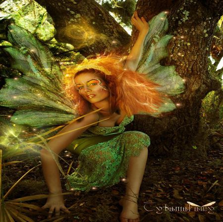 FANTASY FAIRY - woman, trees, green, orange, fairy, fantasy