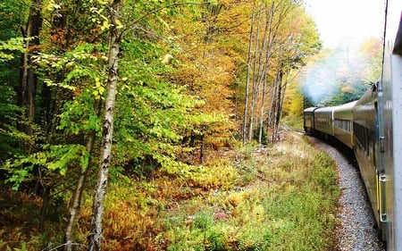 Adirondack Scenic Railroad - fall, abstract, railroad, photography, forest