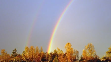 Evenings Double Rainbow - fall, leaves, washington, widescreen, sun, dusk, rainbow, firefox persona, trees, color, autumn