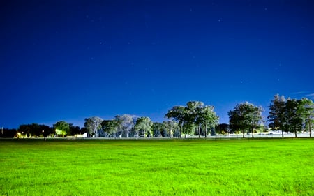 Blue  Green - fields, sky, stars, trees, night, park, clear, nature, blue, city, lights