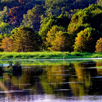 Reflections in a lake