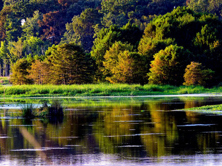 Reflections in a lake - reflections, fall, lake, water, leaves