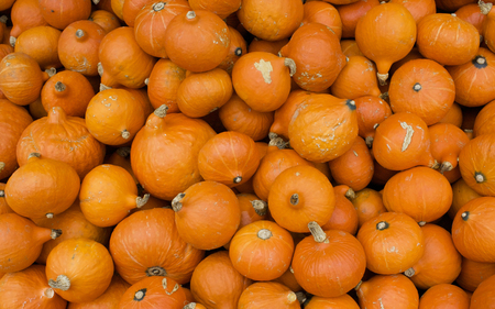 Pumpkins Anyone - abstract, photography, market, farmers, pumpins