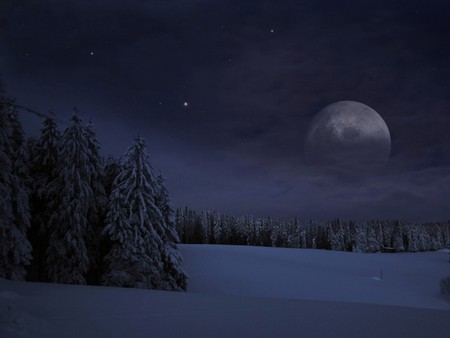 CHRISTMAS NIGHT MOON - scenery, blue, landscape, snow, night, stars, forests, seasons, sky, clouds, moon, trees, winter, icy, moonlight, christmas, ice, frozen, pines, cold