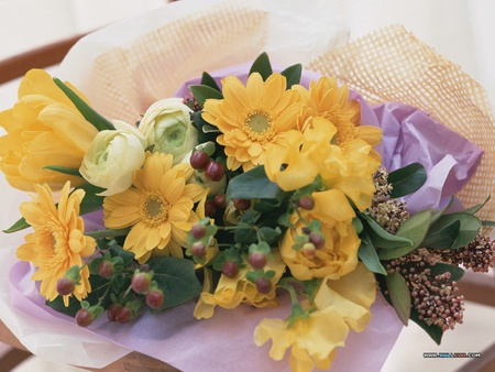 Freshness - colour, variety, sunny, flowers, bouquet, photo, spring