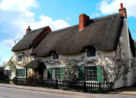 English beauty - england, green shudders, thatch roof, vines, grey stone, black fence, cottage