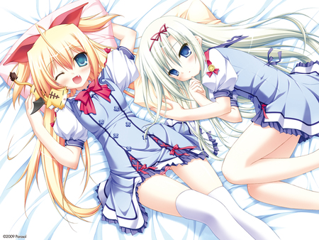 Anime girls - game cg, blonde hair, animal ears, blue eyes, long hair, white hair