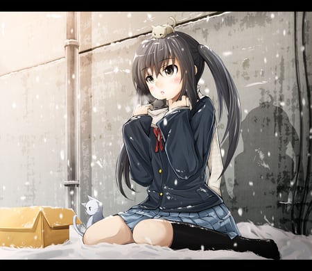 azu njan - school uniform, cold, cat, box, sad, snow, animal