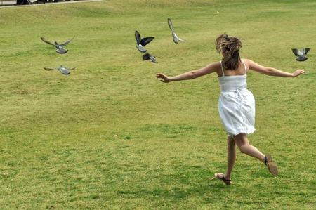 Flying Free - flying, field, girl, birds