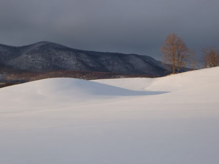 Quiet Hills in Winter - hills, snow, winter, mountains, snow field