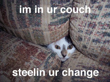 Im In Yur Couch - couch, lol cat, funny, cat