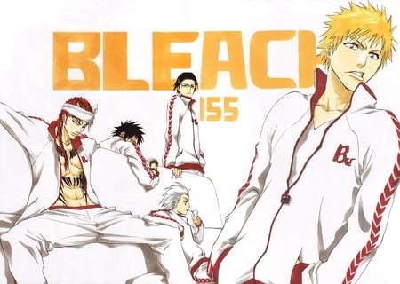 bleach anime - anime, ichigo, bleach, renji