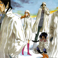 bleach anime