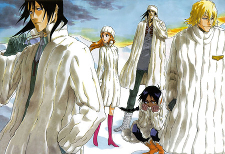 bleach anime - anime, orihime, byakuya, bleach, yoruichi