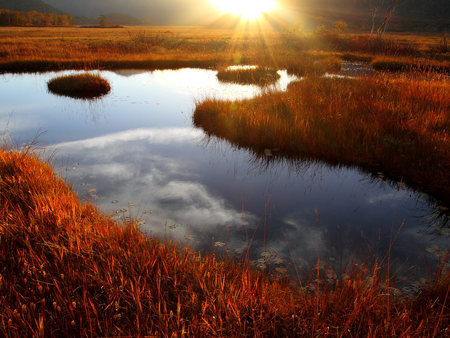 Sunset Over The Wetlands - water, reeds, colour, evening, marsh, water lily, orange, glow, red, lake, sun