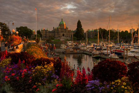 Beautiful town - flowers, town, water, building