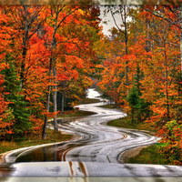 Road after the rain