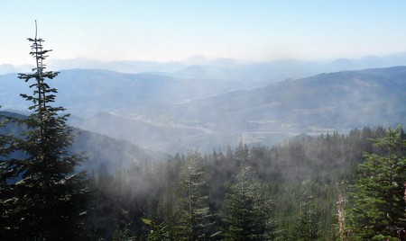 Misty Mountain Splendor - valley, trees, clouds, river, mountains, firefox persona, washington, mist