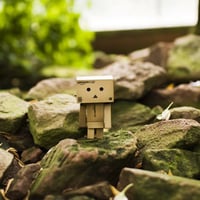 Danbo Exploring