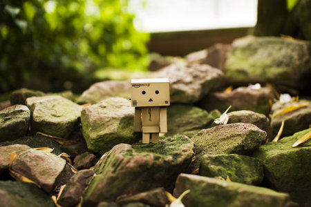 Danbo Exploring - explore, box, danbo, robot