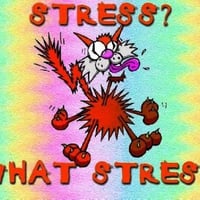 STRESS