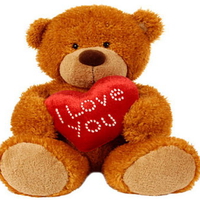 i love you teddy bear