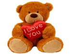 i love you teddy bear