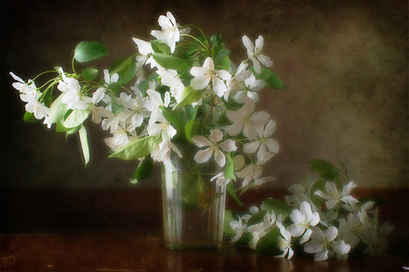 white flowers vase - flowers, glass vase, white, water, table, art photo, nice, still life