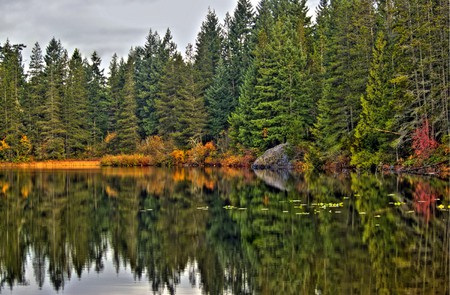 Autumn Reflection - trees, autumn fall, beautiful, art photo, lake, reflection