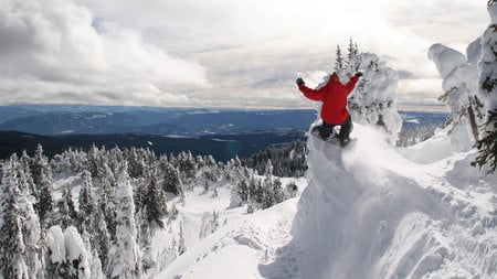 Extreme Limits - skies, ice, sport, trees, extreme, snowboarding, snow, mountain