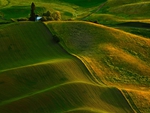 Green landscape