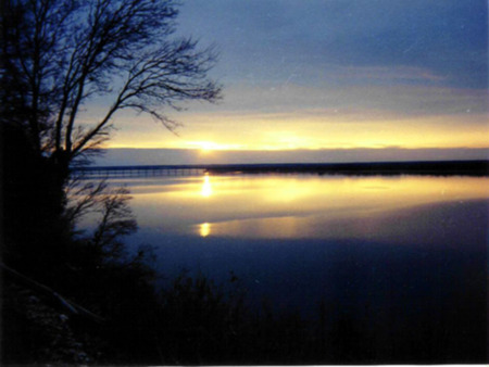 Sunset - lake, tree, nature, sunset