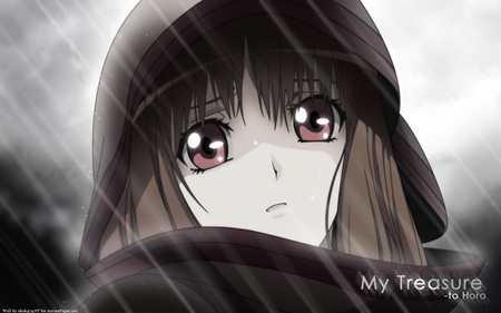 My treasure to holo - spice and wolf, holo, brown, raining