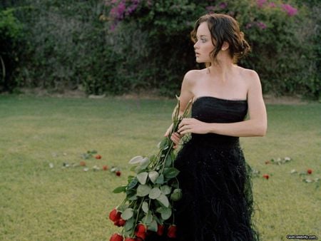 Alexis Bledel - black delicate dress, alexis bledel, models, actress, actresses, people, female, roses, nature, pretty girl, flowers, celebrity, red roses, dress