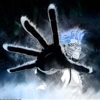 Grimmjow Jaggerjack