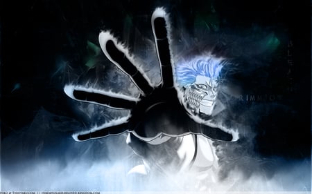 Grimmjow Jaggerjack - anime, grimmjow, bleach, jaggerjack