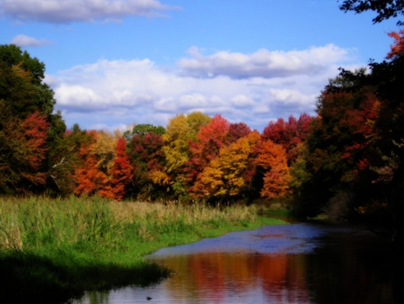 Autumn river - cloud, lake, landscape, river, tree, season, autumn