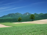 Hokkaido field