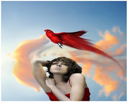 RED BIRD - sky, female, clouds, red, bird