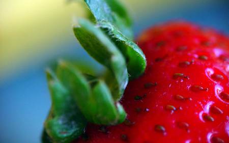 Strawberry Close Up - close up, strawberry, strawberries, fruits