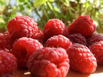 Raspberries