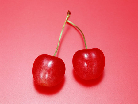 Twins - fruits, cherry, cherries, twins