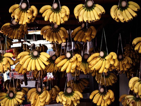 Bananas - sweet, yellow, bananas, fruits