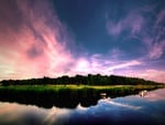 Boat on a lake