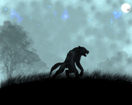 Werewolf - werewolf, stalker, night predator, full moon